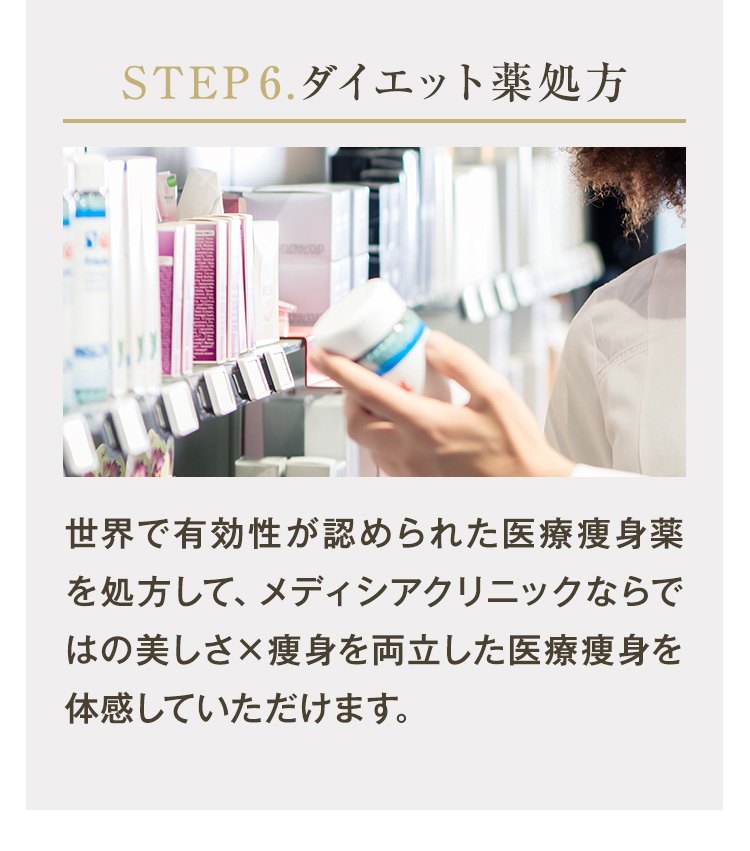 STEP6　ダイエット薬処方